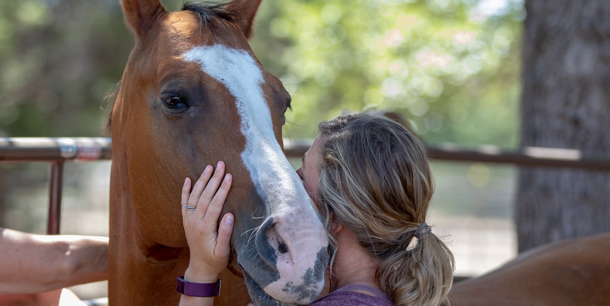 healing with horses