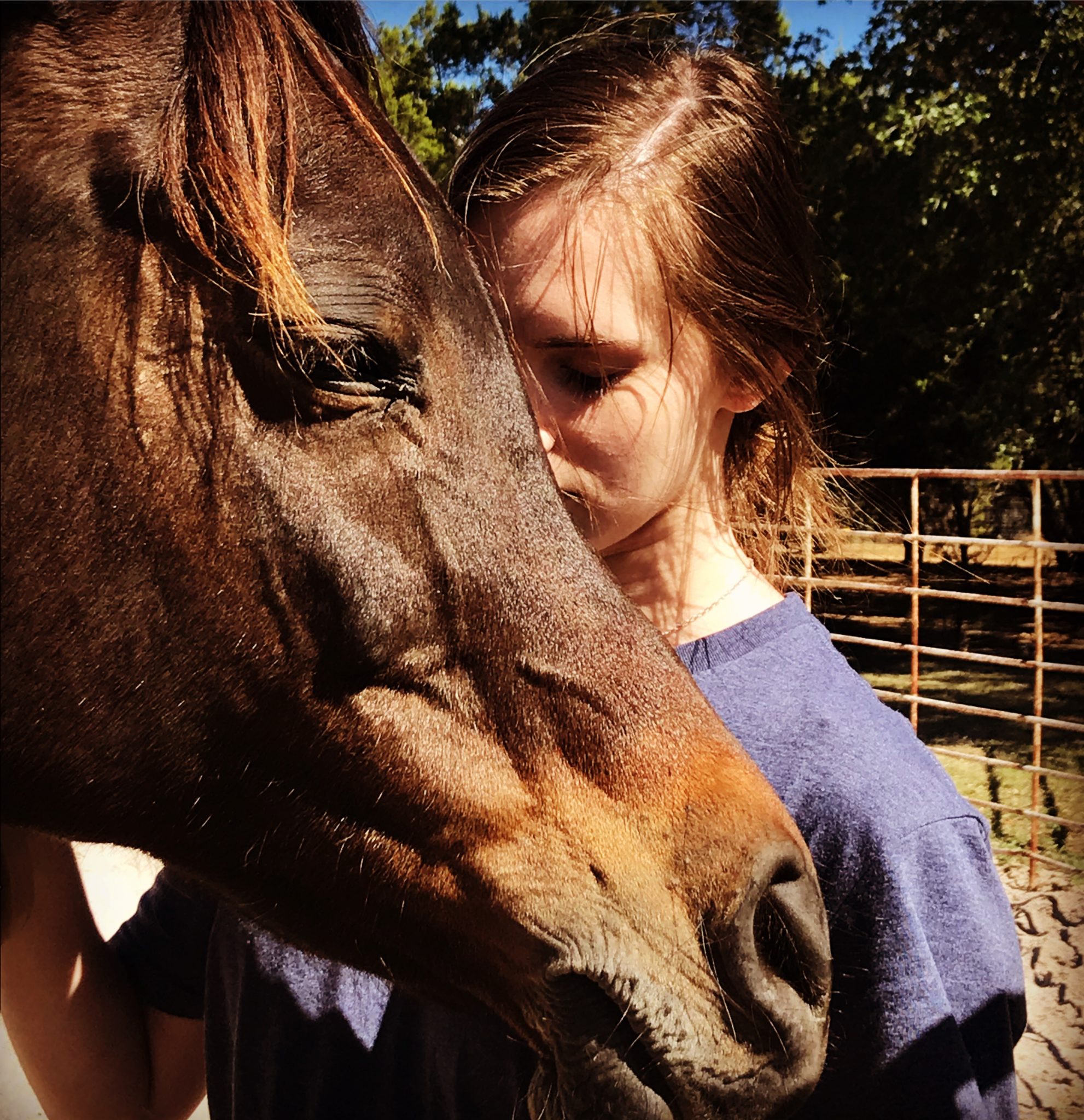 EquineAssisted Mental Health Services South Wind Equestrian Center